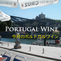 ����Υݥ�ȥ���磻��������ץ饤��������! 