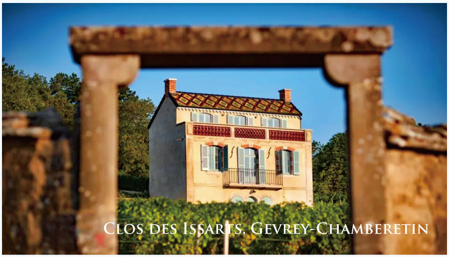 クロ・デ・イサール (Clos des Issarts)　ジュヴレ・シャンベルタン　レ・ブルジョン