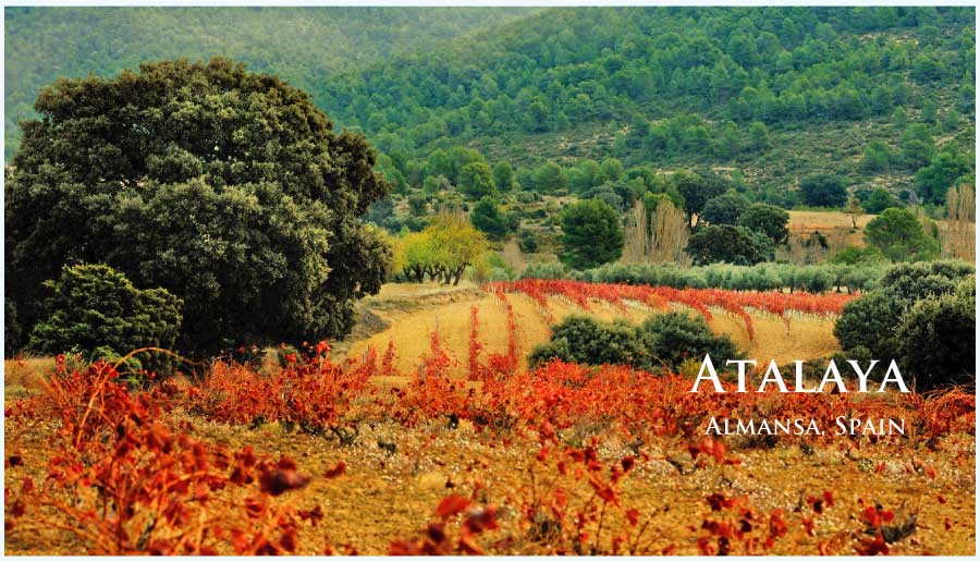 アタラヤ (Atalaya) スペイン、アルマンサ