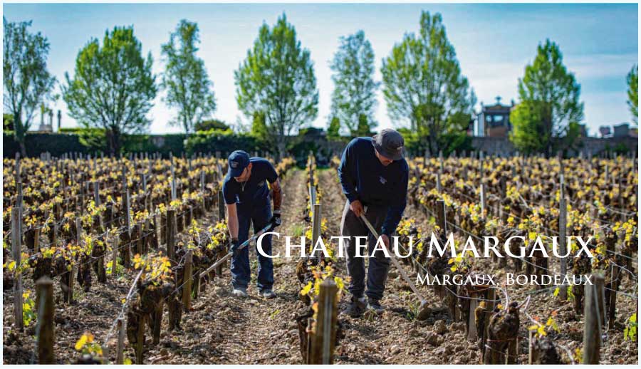 シャトー・マルゴー (Chateau Margaux)