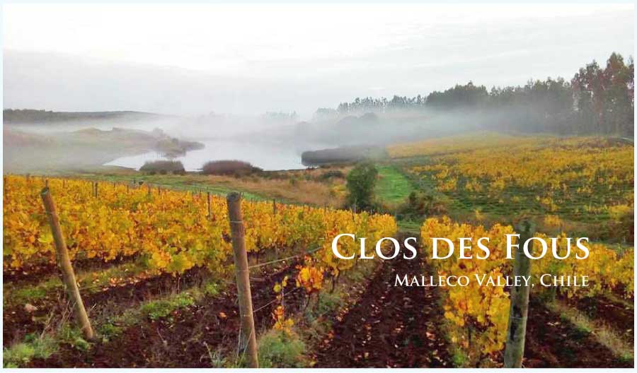 クロ・デ・フ (Clos des Fous) チリ、マジェコ・ヴァレー