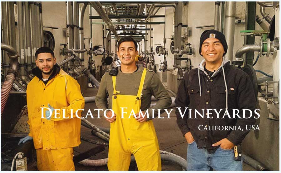 デリカート・ファミリー・ヴィンヤーズ (Delicato Family Vineyards) アメリカ、カリフォルニア