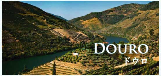 ドウロ (Douro)