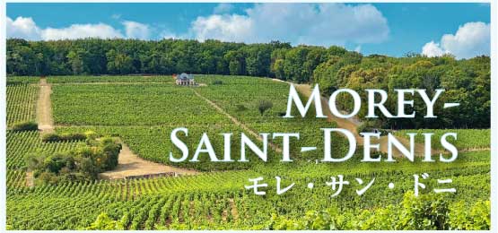 モレ・サン・ドニ (Morey-Saint-Denis)