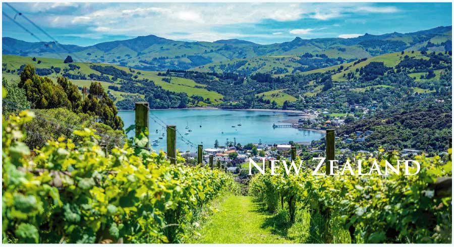 ニュージーランドのワイン (New Zealand Wine)