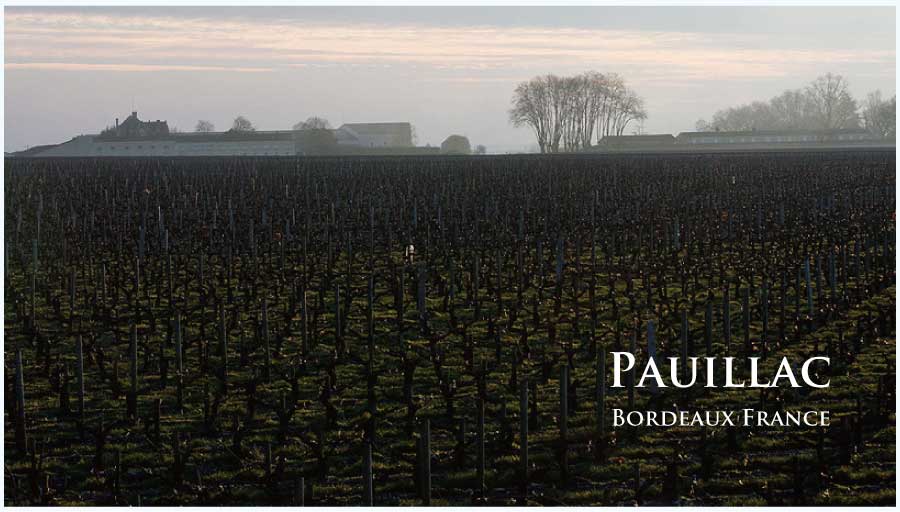 フランス・ワイン産地、ポイヤックのぶどう畑