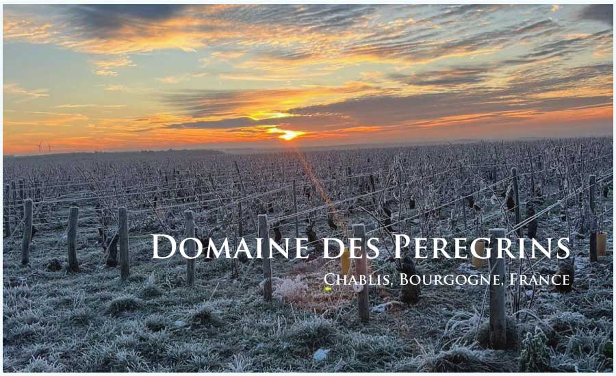 ドメーヌ・デ・ペレグラン (Domaine des Peregrins) フランス、ブルゴーニュ、シャブリ