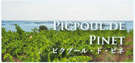 ピクプール・ド・ピネ (Picpoul de Pinet)