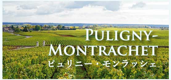 ピュリニー・モンラッシェ (Puligny-Montrachet)